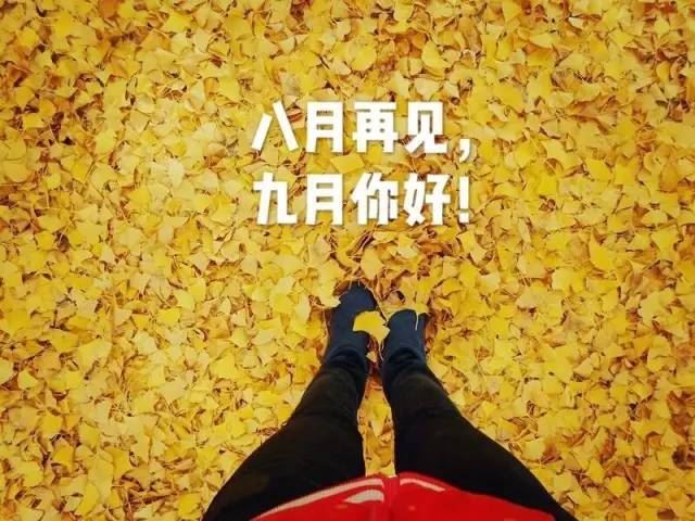 幻想10年后的我作文