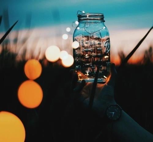 五年级我的家乡作文集合4篇