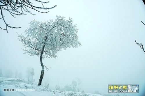 【推荐】新年开学季小学生作文五篇