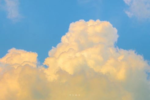 最新收集阳光优秀作文