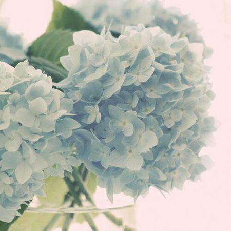 朝天子·咏喇叭原文