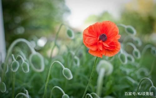 银行上半年工作总结及下半年工作计划