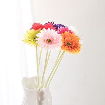山茶花