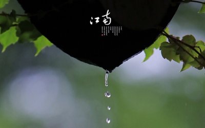市民的一封公开信