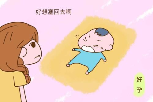 高二作文500字