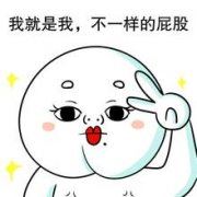 投资决策可行性研究报告