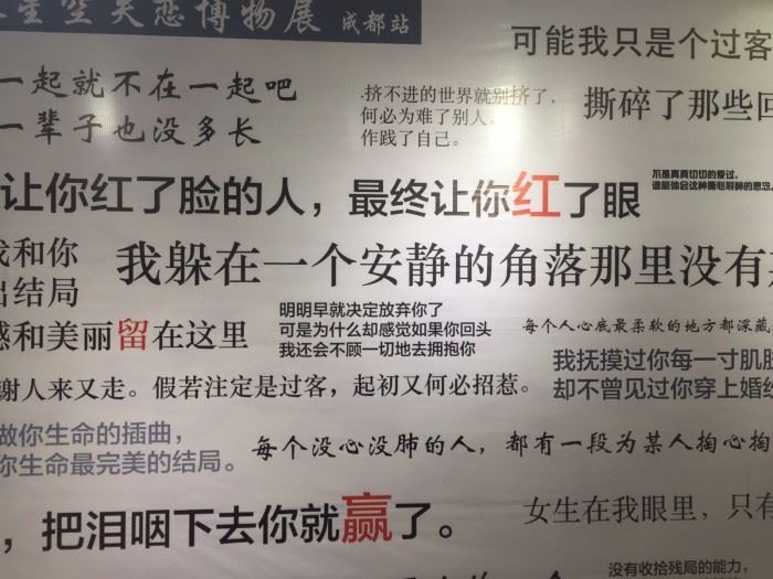 动物英语作文
