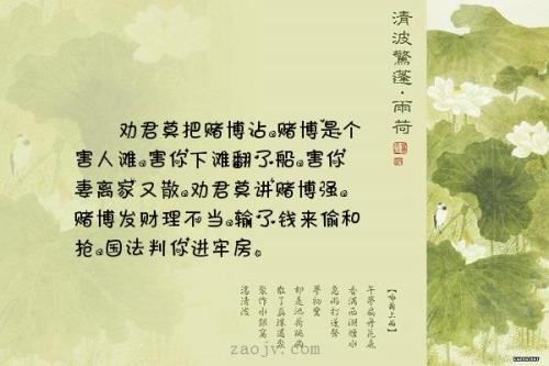 暑假观察日记：一群蚂蚁打架