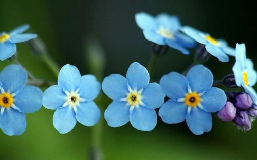 教师节的来历