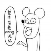 小学辅导员工作计划