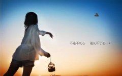 ​急诊科质控工作总结