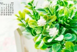 当大人沉迷手机 When Adults Are Addicted to Cellphone