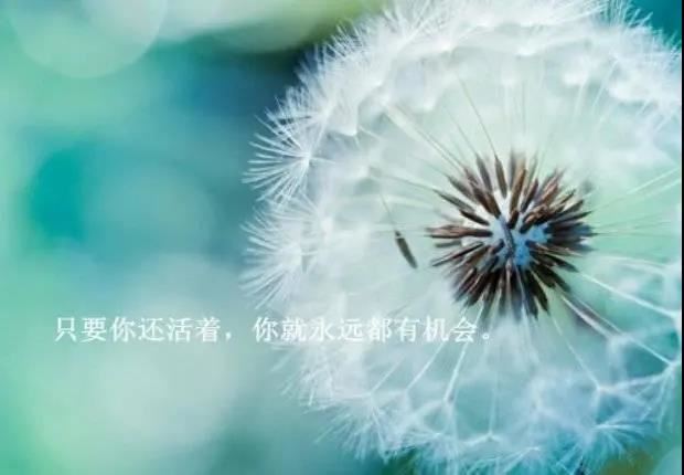 财务分析报告分类