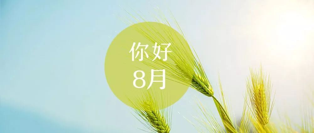 敬老院寒假个人工作社会实践报告