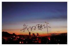 顾客给员工表扬信