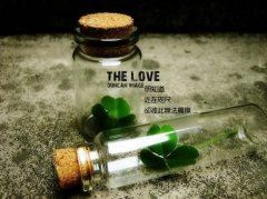 妇女节趣味活动策划书