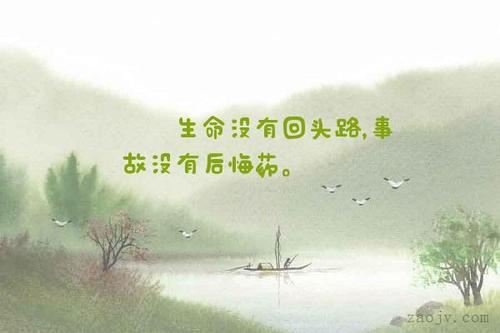 “龟兔赛跑”故事新编