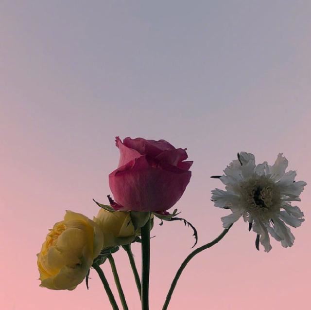 教师专业发展计划书