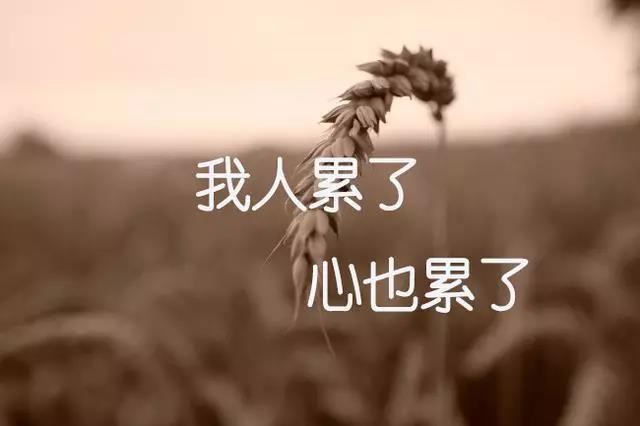 初三学生入团申请书示例