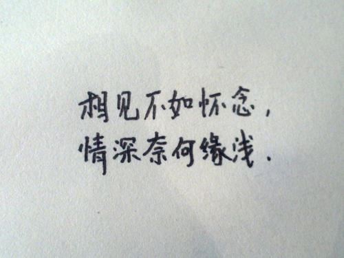 法律专业学生自我鉴定