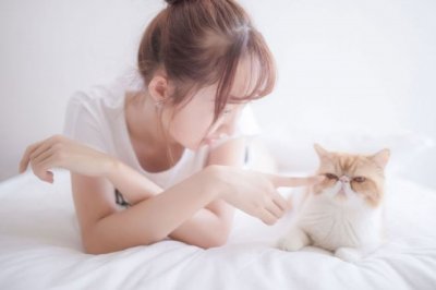布拉特发公开信坚称“清白”
