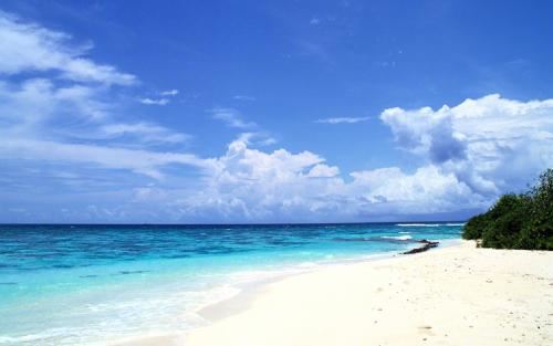 小学中层干部述职报告