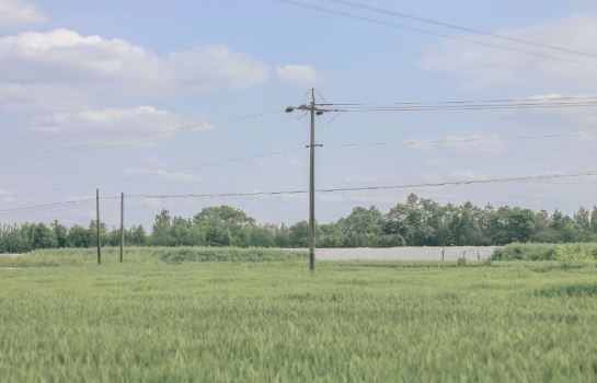 我爱我的家乡450字五年级作文(合集十五篇)