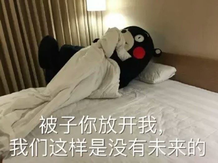 公司企业借款申请书