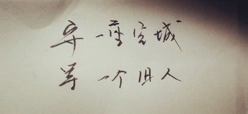 蚂蚁