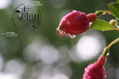 高中体育文化节闭幕词