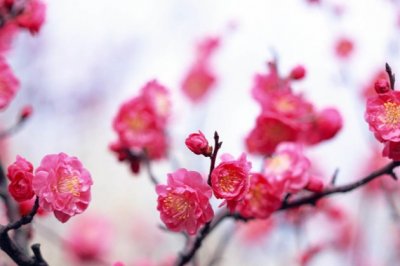 家乡的风味小吃