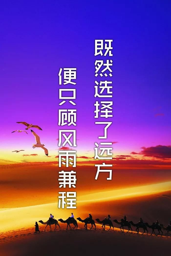 牡丹花边框剪纸
