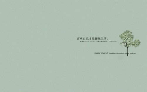 毕业生个人简历表格