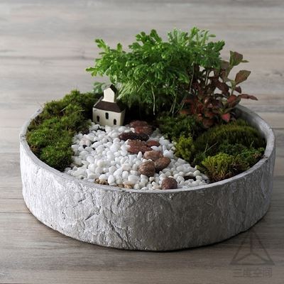 新的一年工作计划