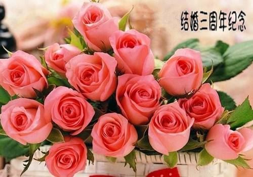 未来的设想