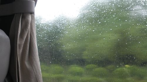 小学二十年后回故乡作文300字【二十篇】