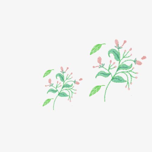 520送女朋友鲜花卡片祝福语