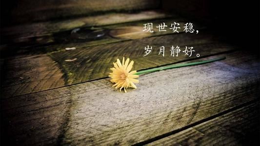 高考贺信范文