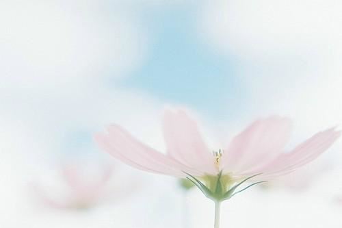 中班教师学期总结