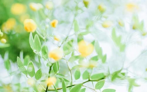 我的理想主题讲话稿简短(合集四篇)