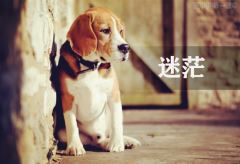 资产评估报告书主要包括的内容