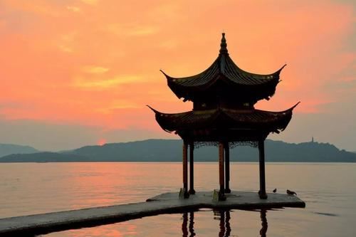 我家的小花园