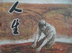 描写小猫：可爱的小虎子