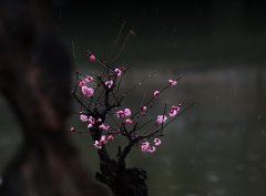 故事的启示