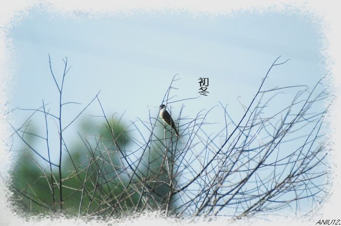 安全生产会议记录内容