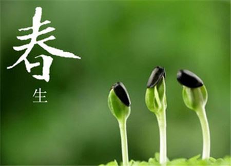 关于吸烟的英语作文范文