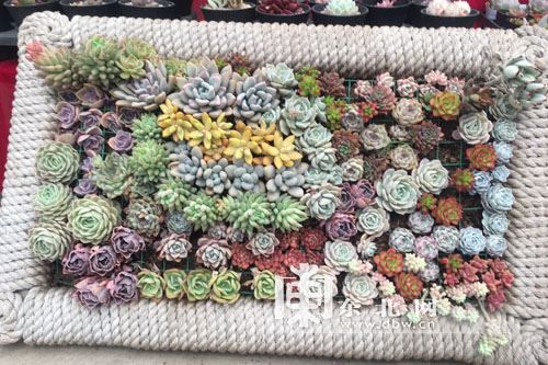 安静的力量作文