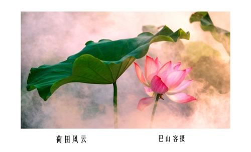 关于资产评估报告的格式范文