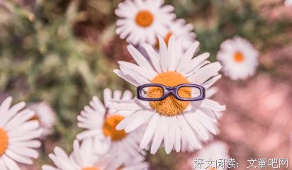 秋季校运会闭幕词