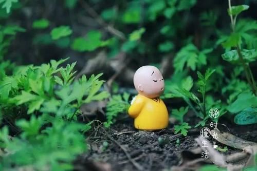优秀小学生读书征文